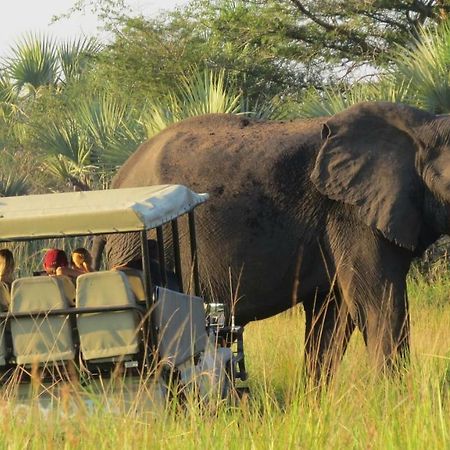 Tembe Elephant Park Lodge Sihangwane Extérieur photo