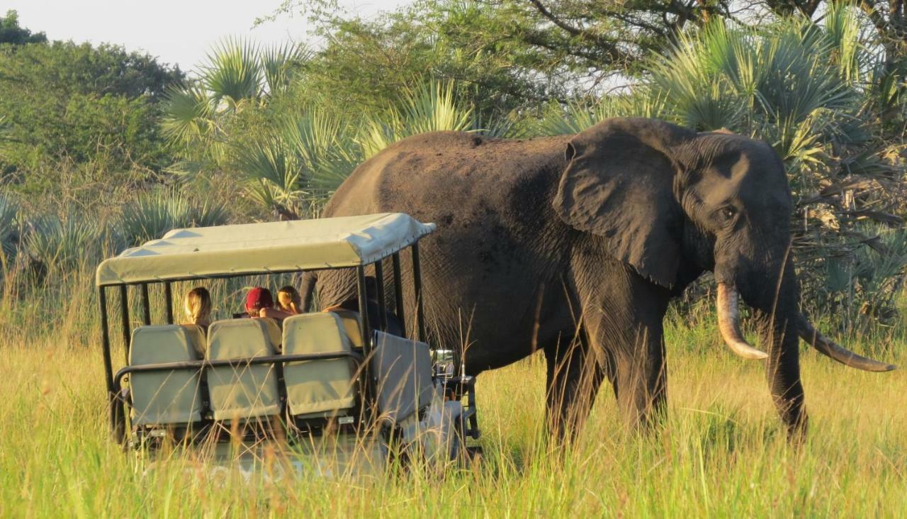 Tembe Elephant Park Lodge Sihangwane Extérieur photo