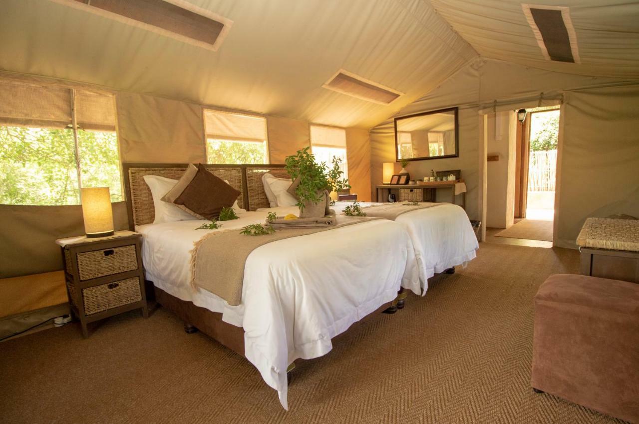 Tembe Elephant Park Lodge Sihangwane Extérieur photo