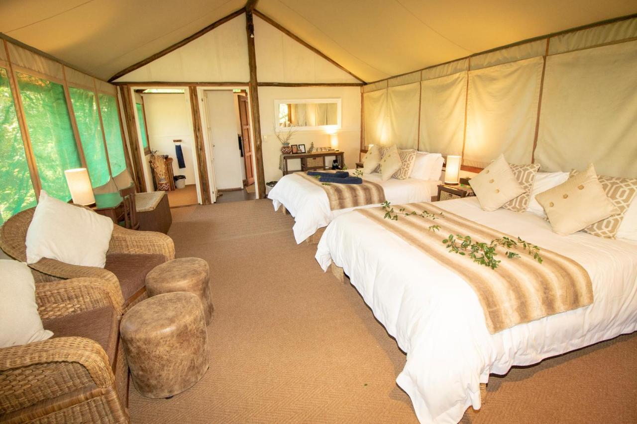 Tembe Elephant Park Lodge Sihangwane Extérieur photo